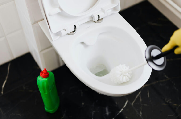 The Importance of Toilet and Bathroom Cleaners for a Healthier Home