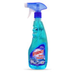 Hygienzz Glass & Multi-Surface Cleaner Liquid Spray 500 ml